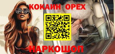 гидропоника Новозыбков